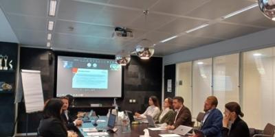 D-WISE Network Meeting and High Level Event
